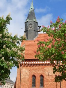 Krakow am See - Kirche und Kastanienblüte