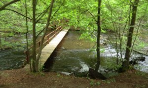 Das Durchbruchstal des Flusses Nebel bietet die Möglichkeit zu romantischen Spaziergängen